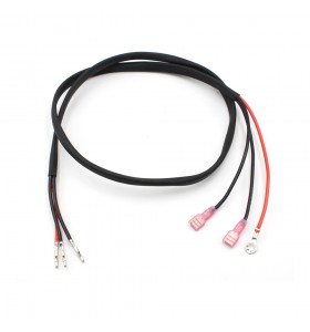 Manufacturers Custom TE Connectivity to Molex Automotive Wire Harness